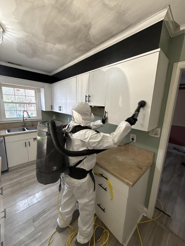 Mold Remediation in Ozark, MO