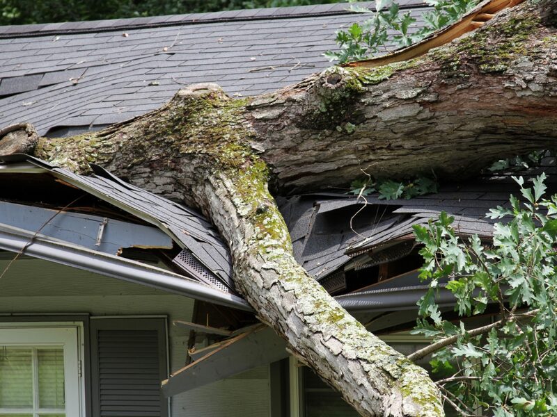 Storm Damage Restoration in Ozark, MO